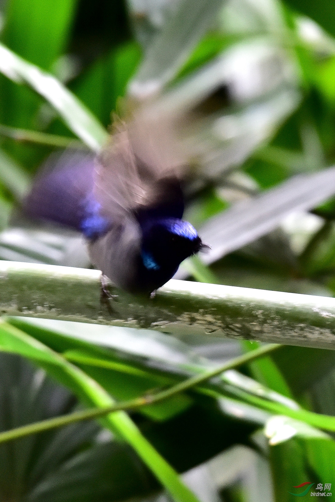DSC_0333.JPG