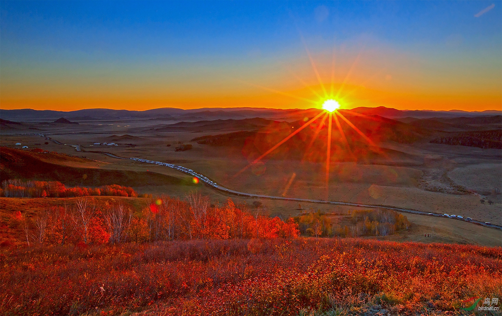 草原日出 - 河南版 henan 鸟网