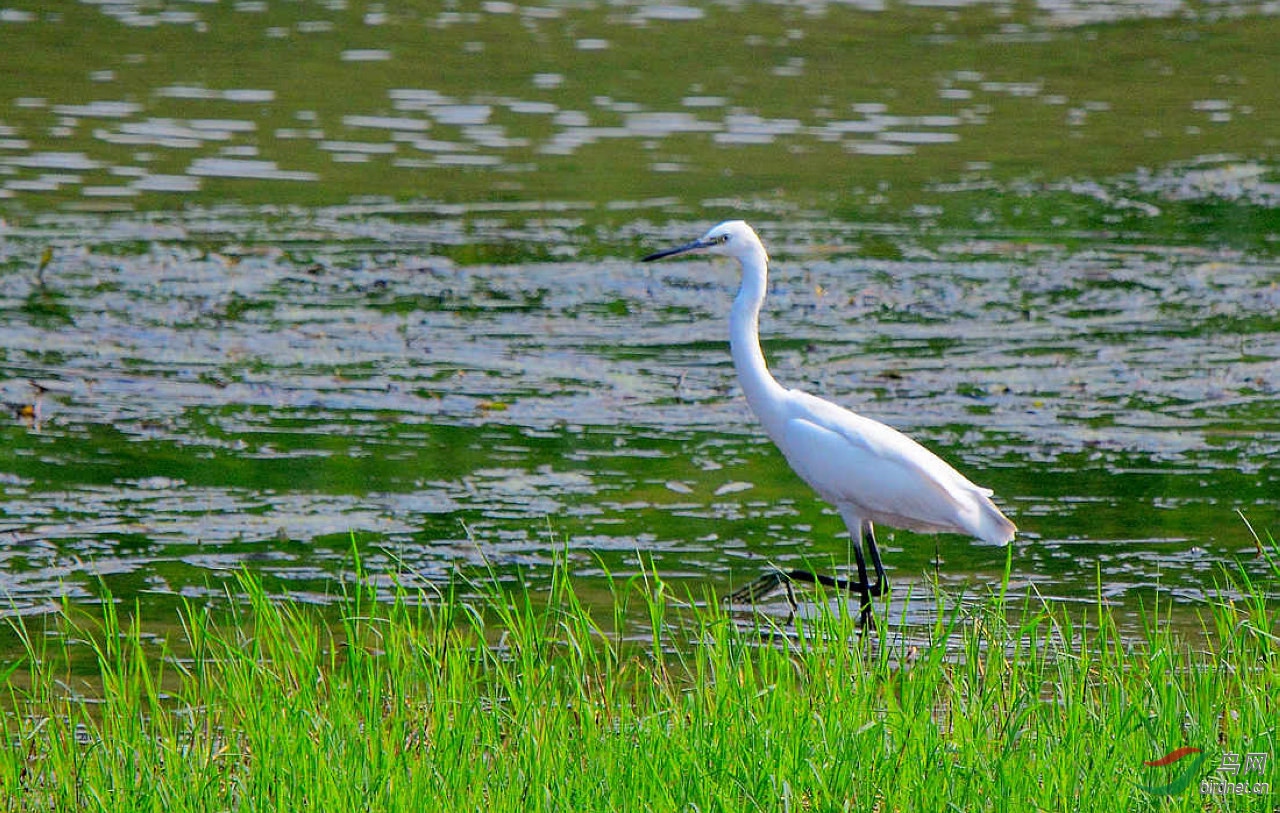 DSC_8121.JPG