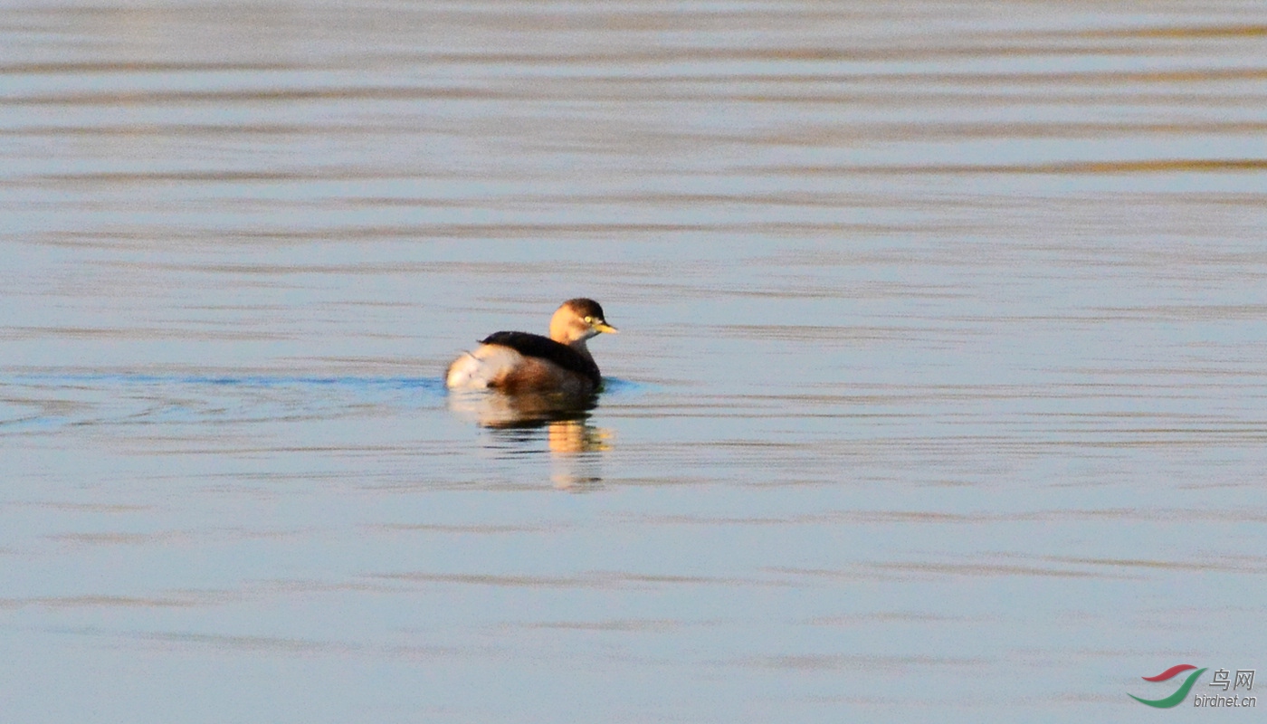 DSC_3721.JPG