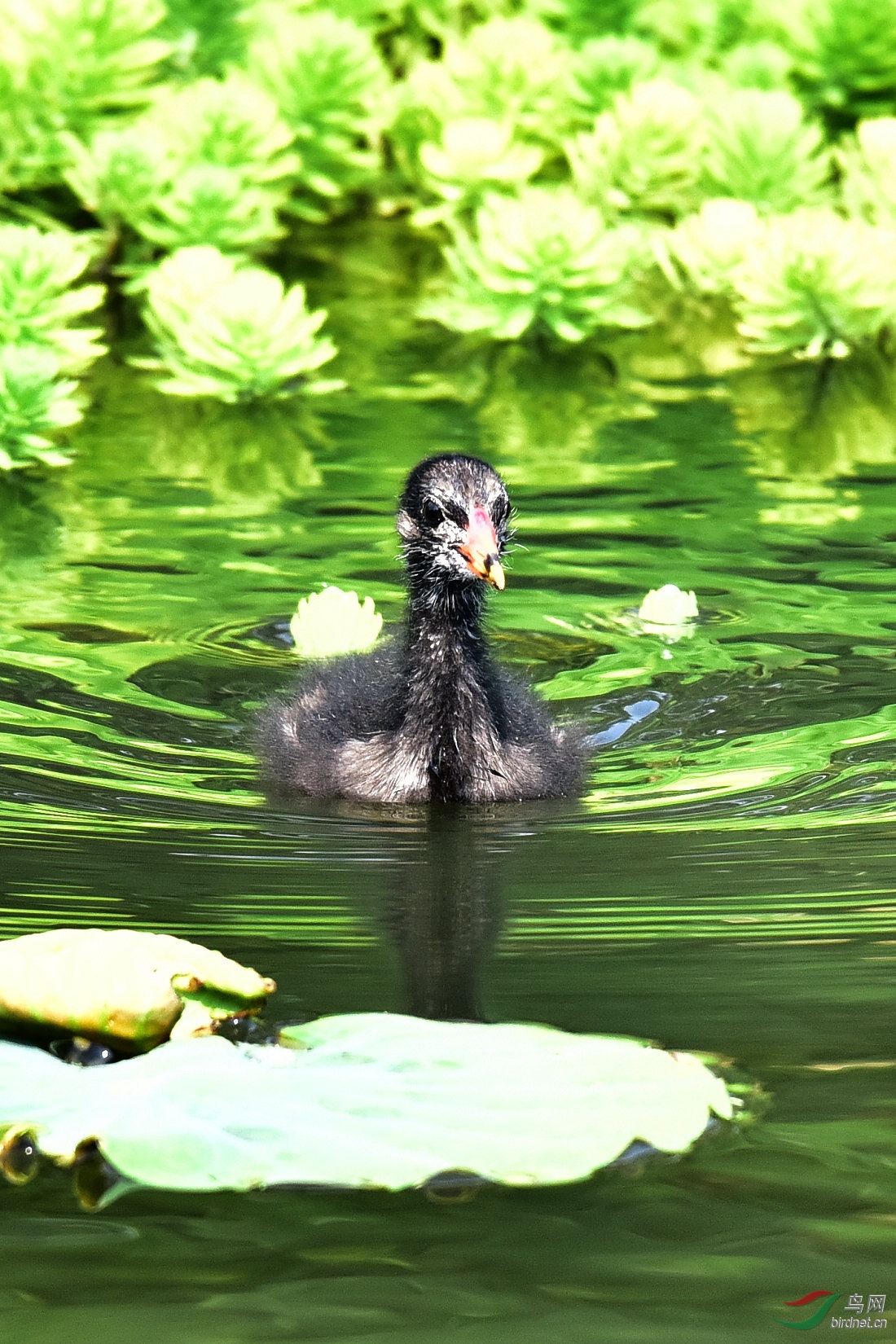 DSC_0744.JPG