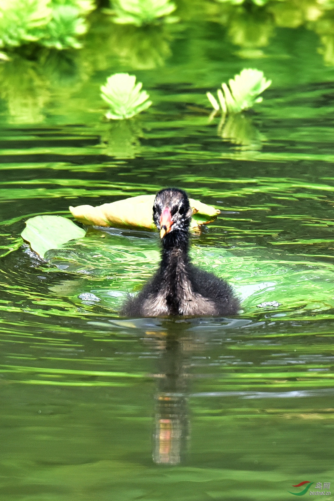 DSC_0745.JPG