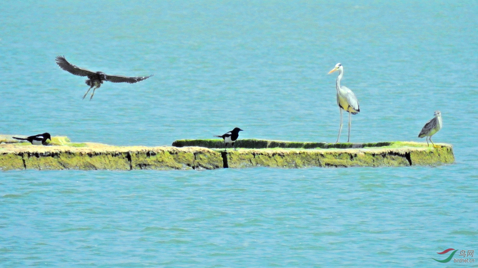 DSCN8515.JPG