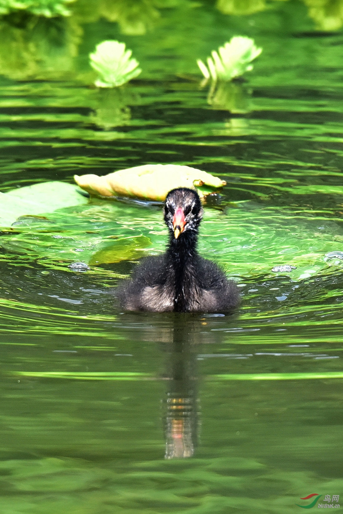 DSC_0746.JPG