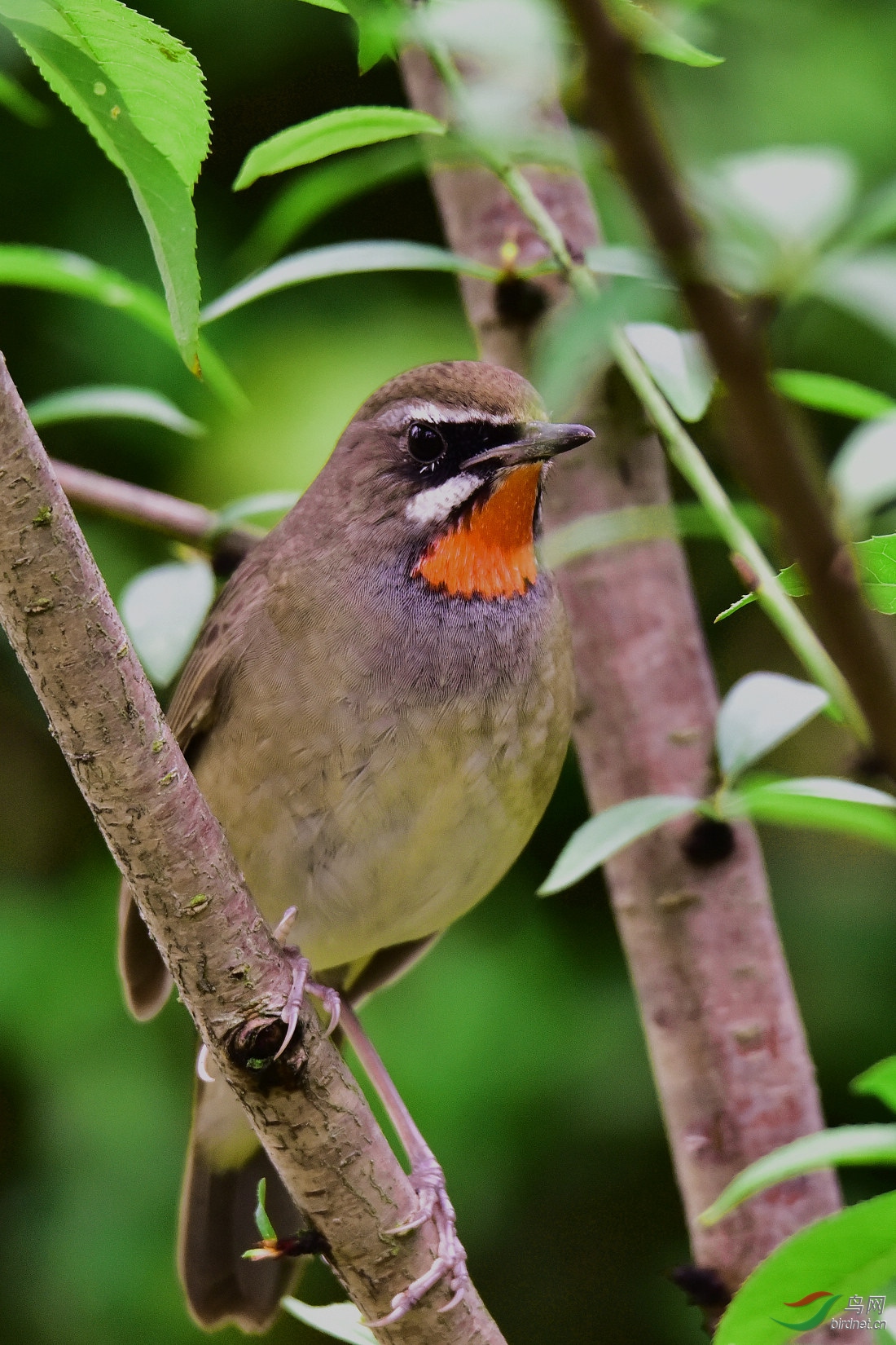 DSC_0346.JPG