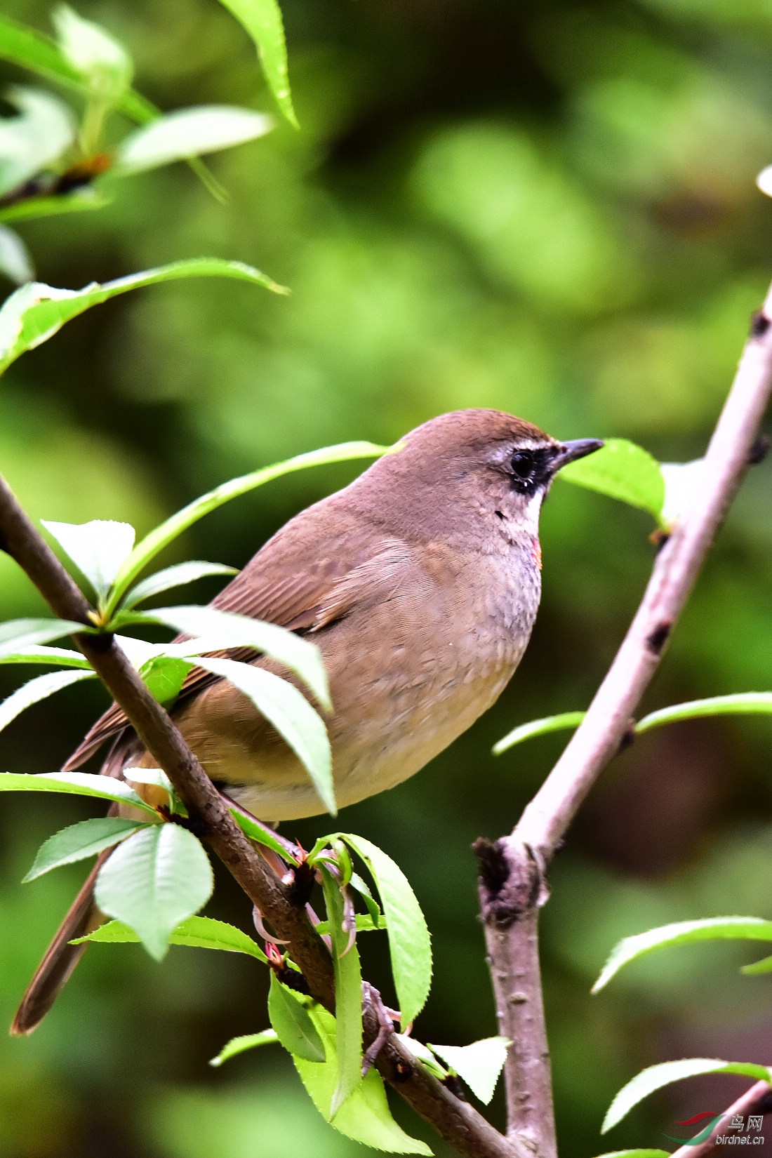 DSC_0348.JPG