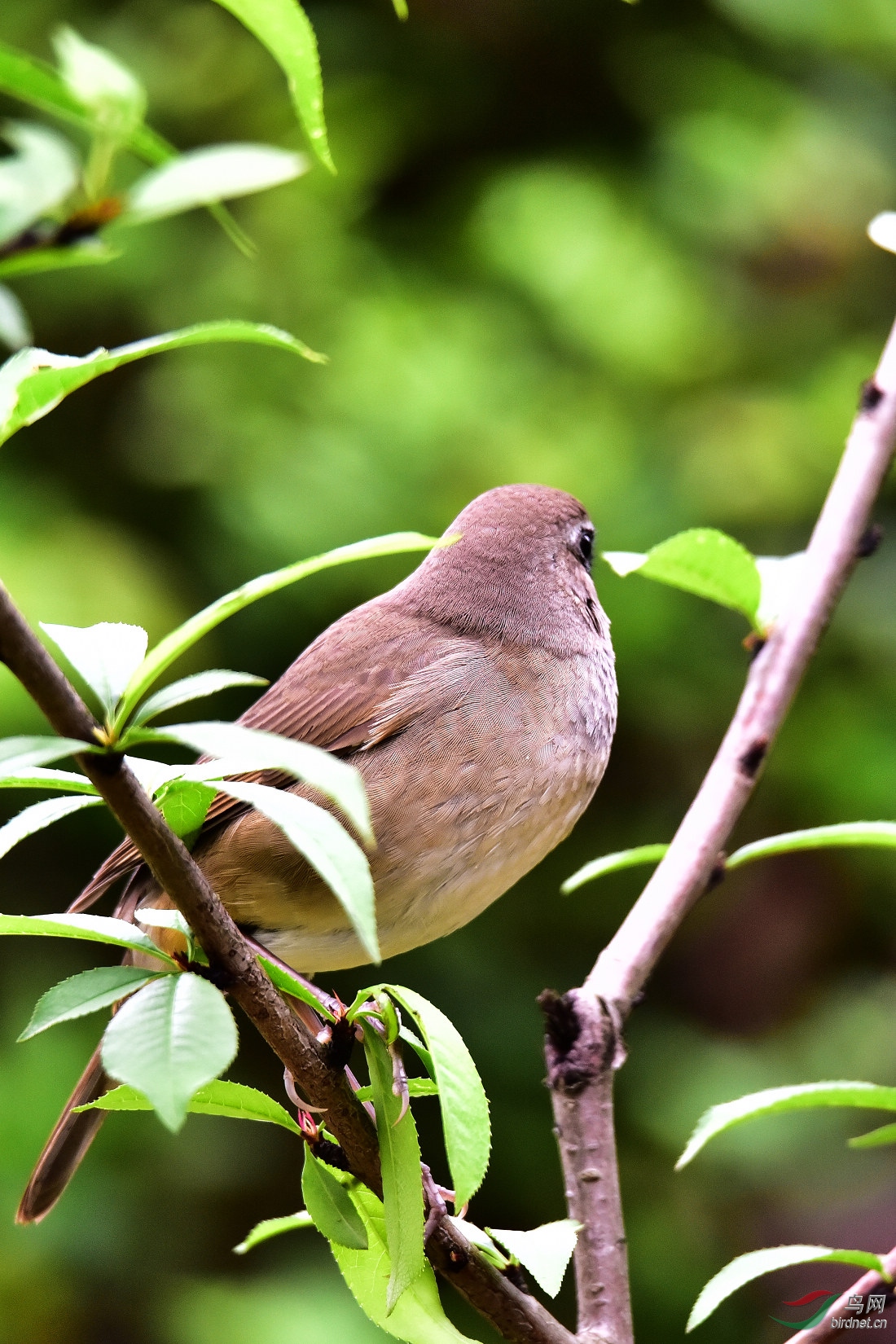 DSC_0349.JPG