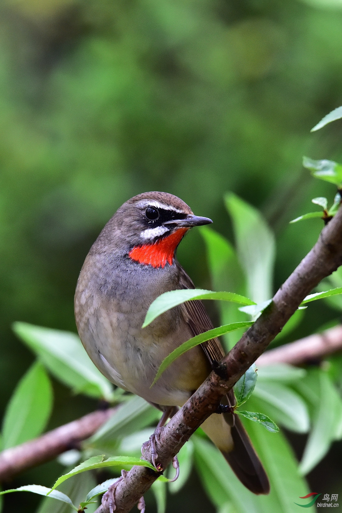 DSC_0351.JPG
