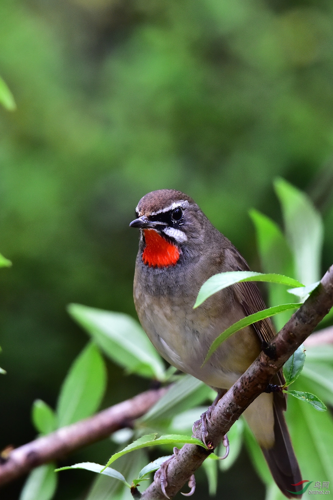 DSC_0354.JPG