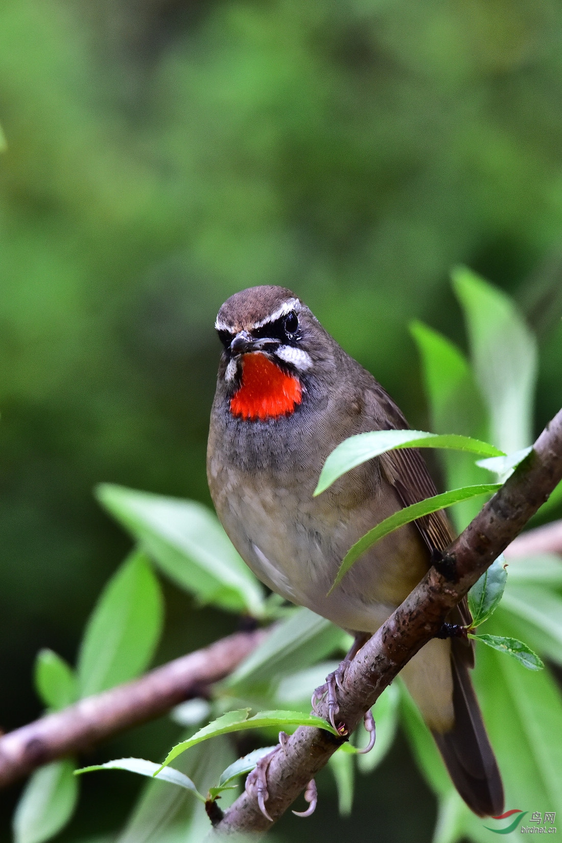 DSC_0355.JPG