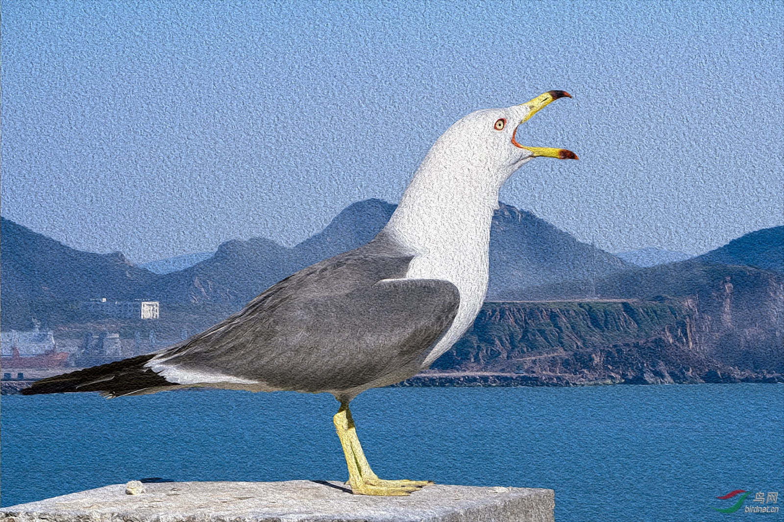 _DSC3547_2185aw.jpg