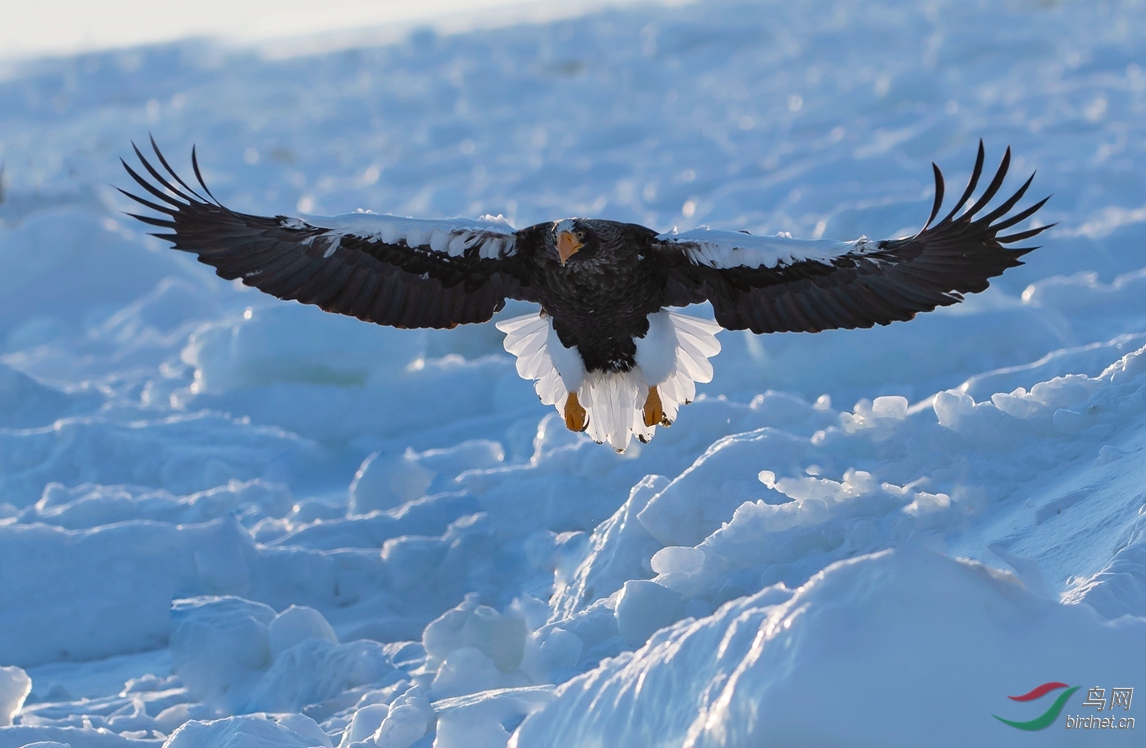 _DSC4483_1.jpg