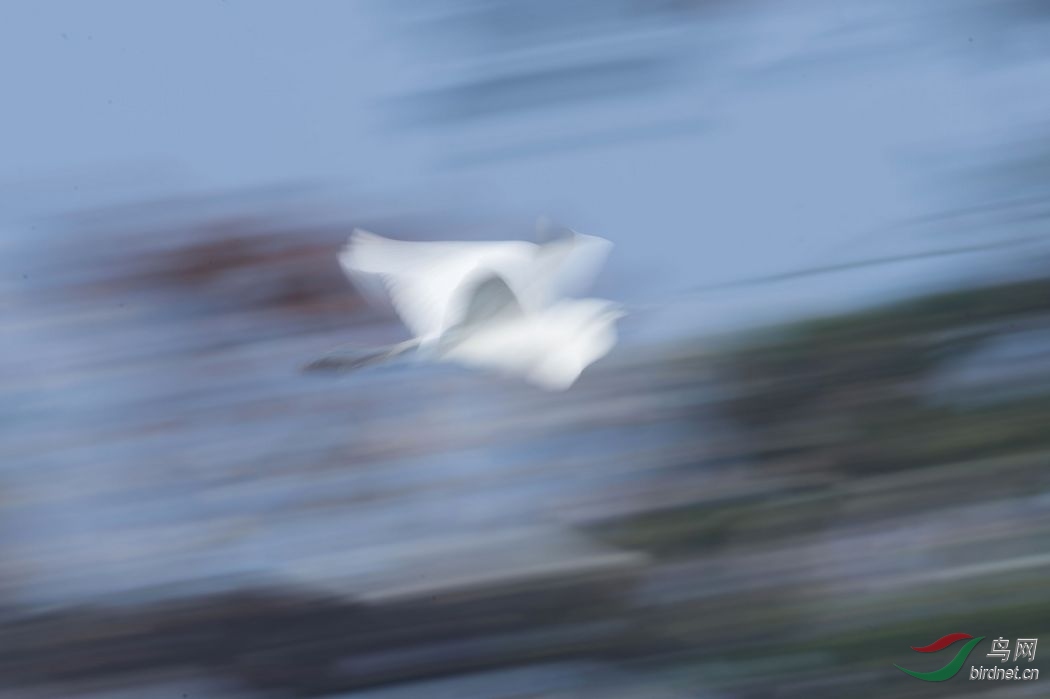 nEO_IMG_DSC_4636.jpg