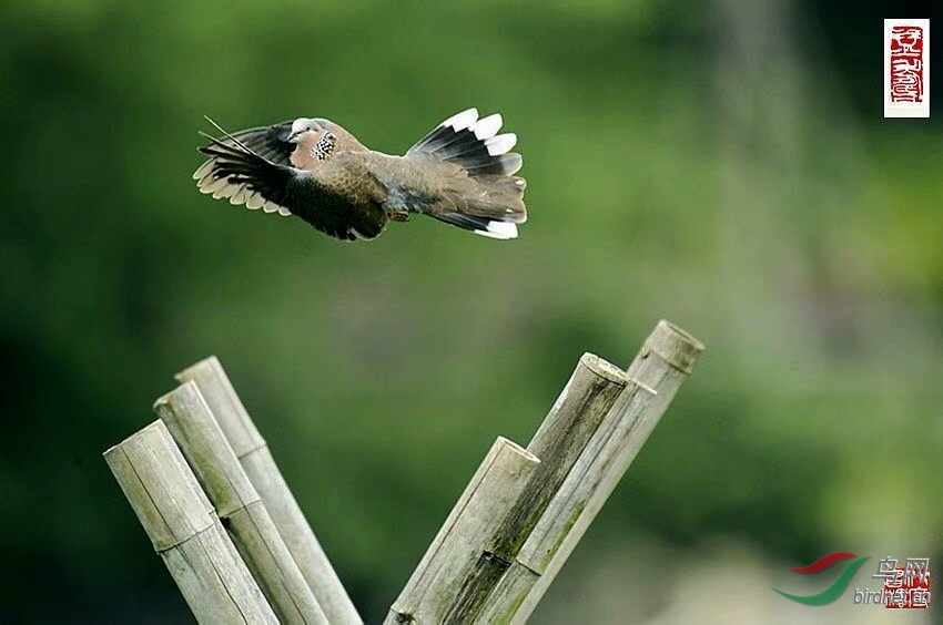014CEC55-A5F9-47EF-8C48-FEB6A6AEC804.jpeg