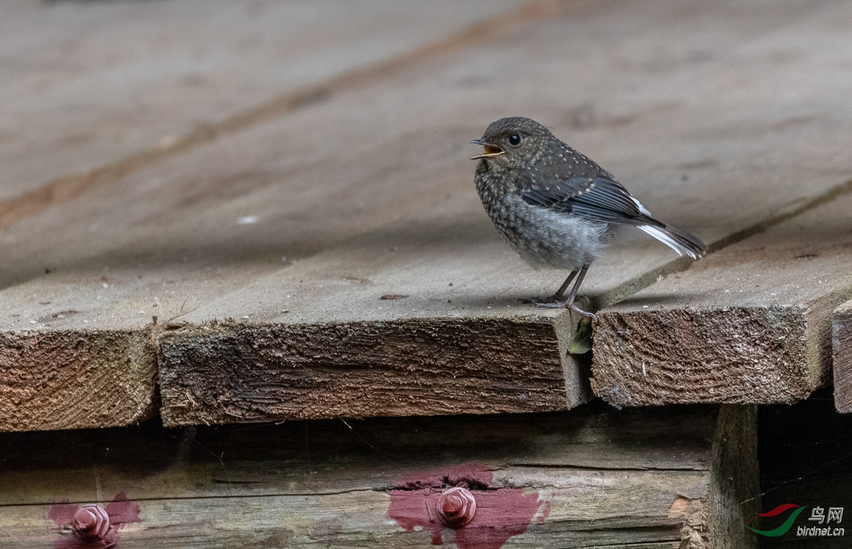 D50_0152-mp.jpg