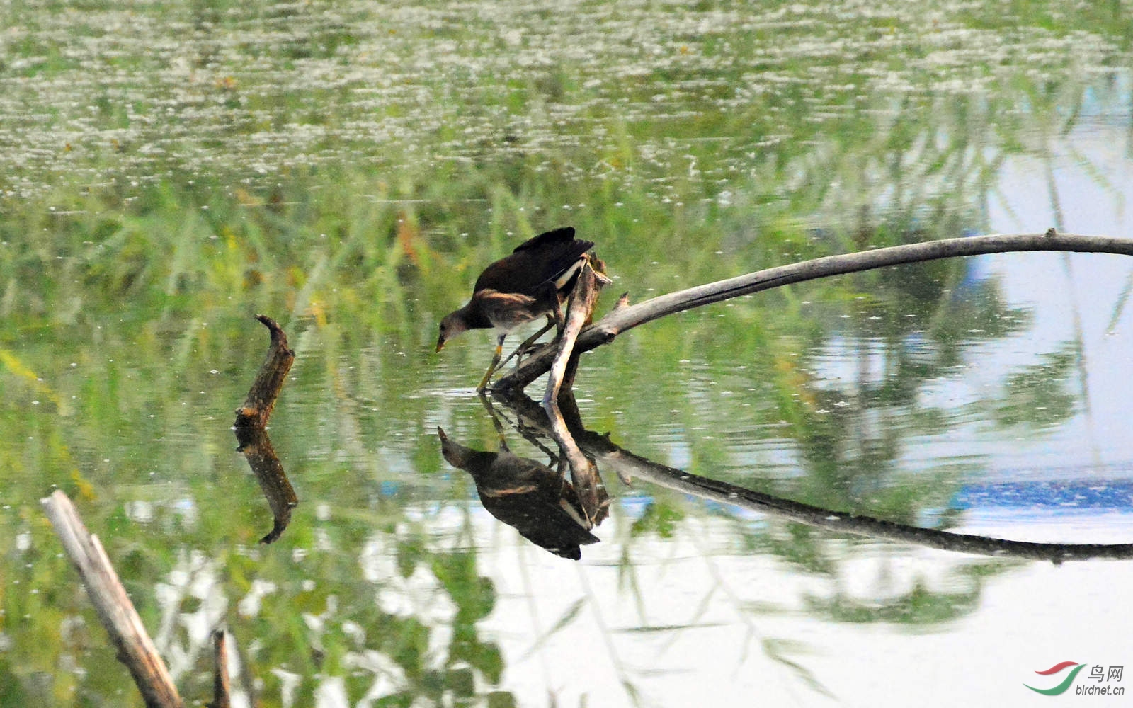 DSC_3866.JPG