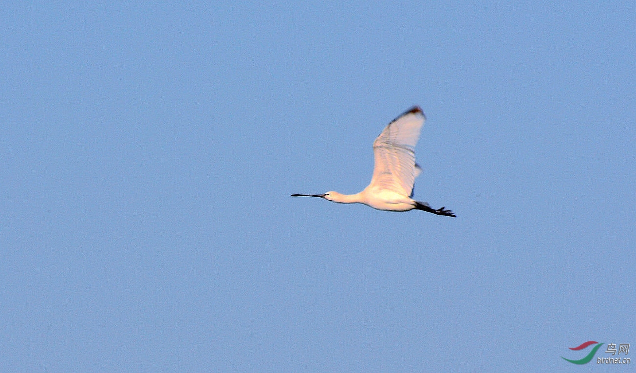 DSC_1105.JPG