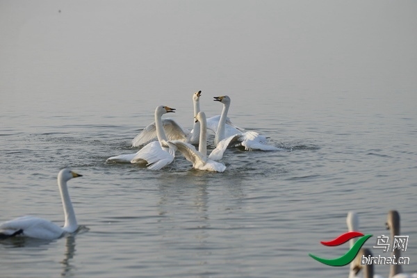 _E8J0218.jpg
