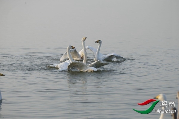 _E8J0216.jpg