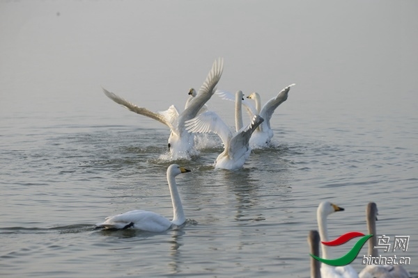 _E8J0222.jpg