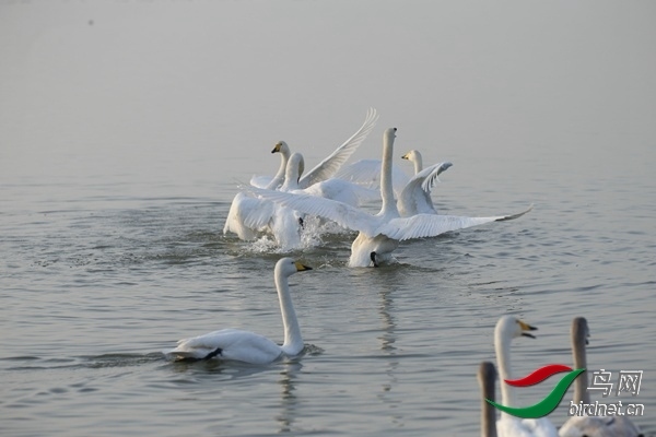 _E8J0223.jpg