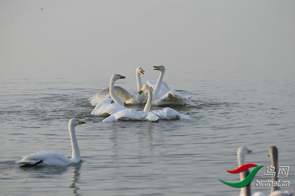 _E8J0220.jpg