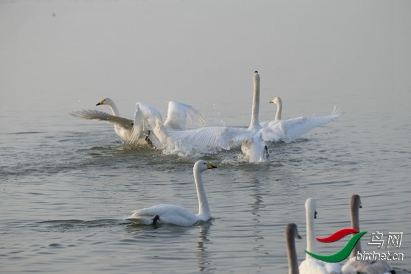 _E8J0226.jpg