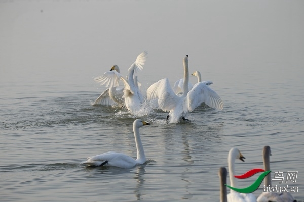 _E8J0224.jpg