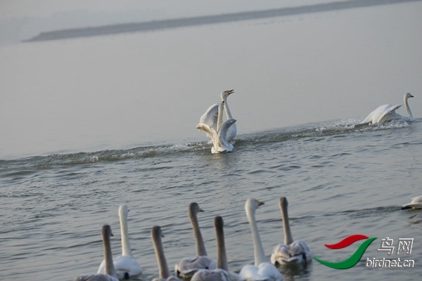 _E8J0235.jpg