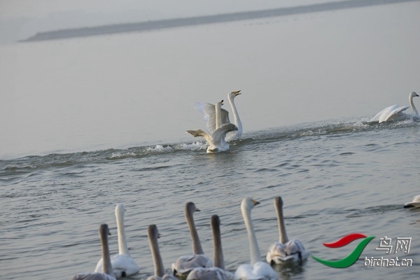 _E8J0236.jpg