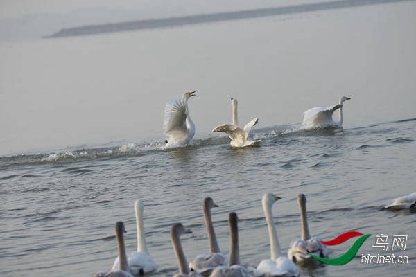_E8J0233.jpg