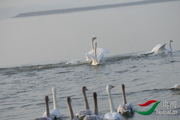 _E8J0234.jpg
