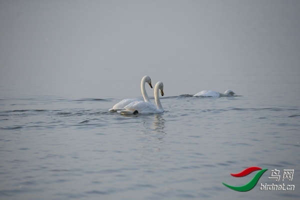 _E8J0240.jpg