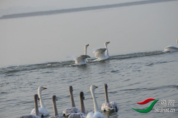 _E8J0237.jpg