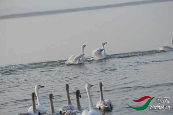 _E8J0238.jpg
