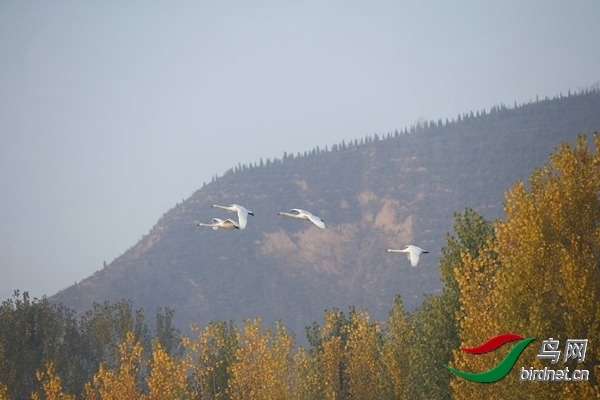 _E8J0248.jpg