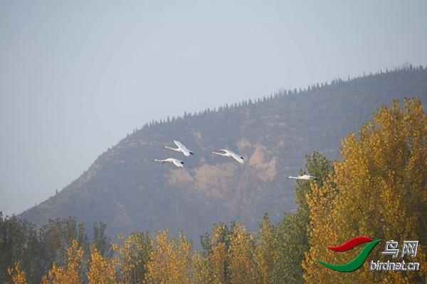 _E8J0247.jpg