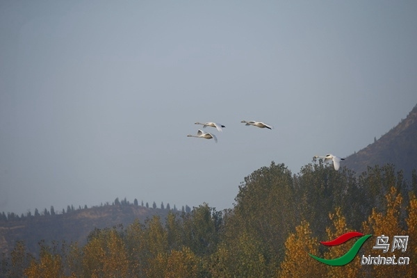 _E8J0252.jpg