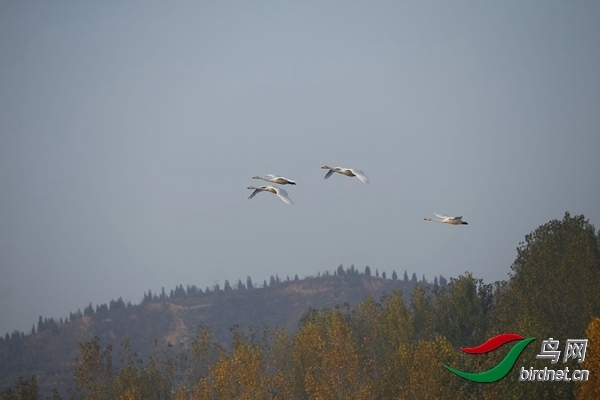 _E8J0255.jpg