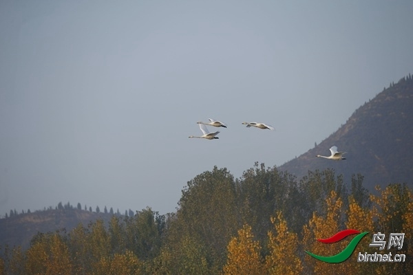 _E8J0250.jpg