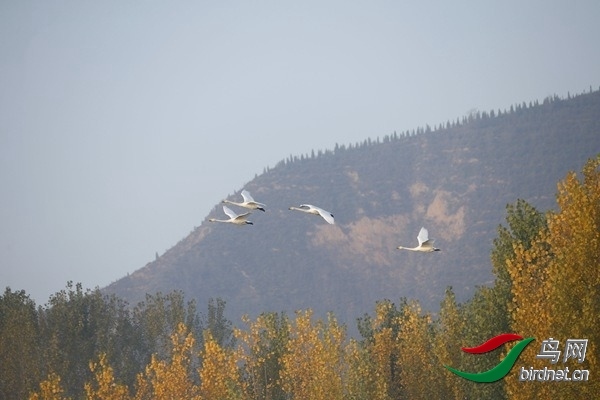 _E8J0249.jpg