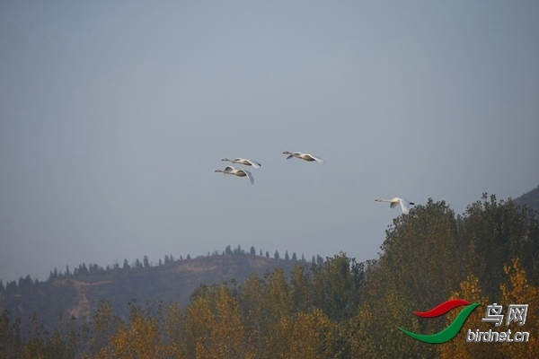 _E8J0253.jpg