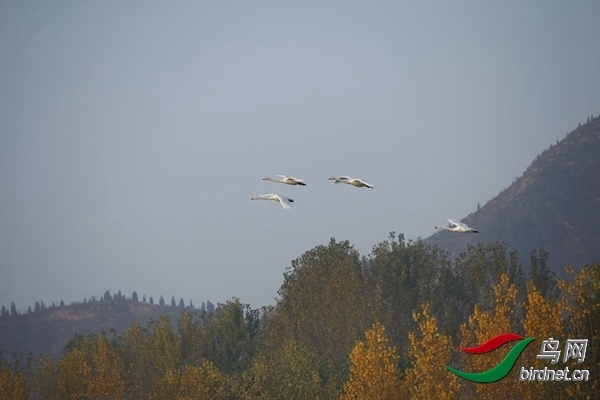 _E8J0251.jpg