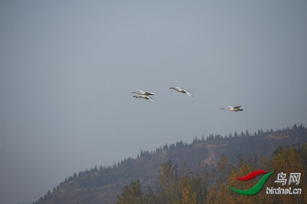 _E8J0258.jpg