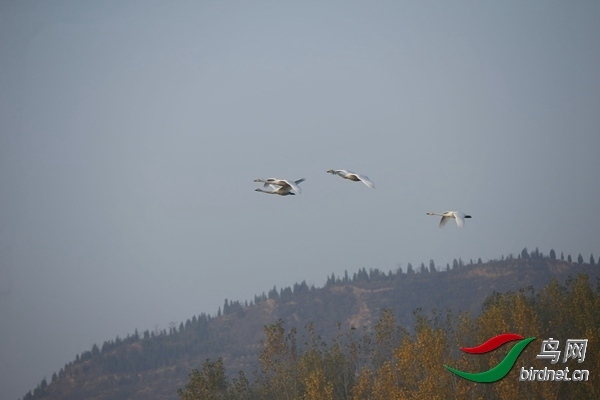 _E8J0257.jpg