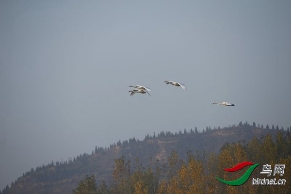 _E8J0256.jpg