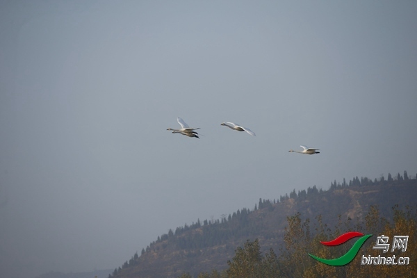 _E8J0259.jpg
