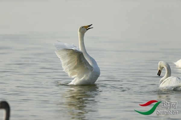 _E8J0855.jpg