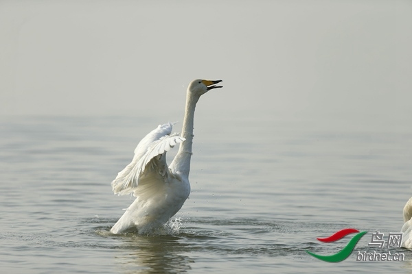 _E8J0869.jpg
