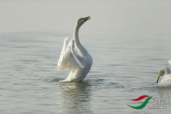 _E8J0866.jpg